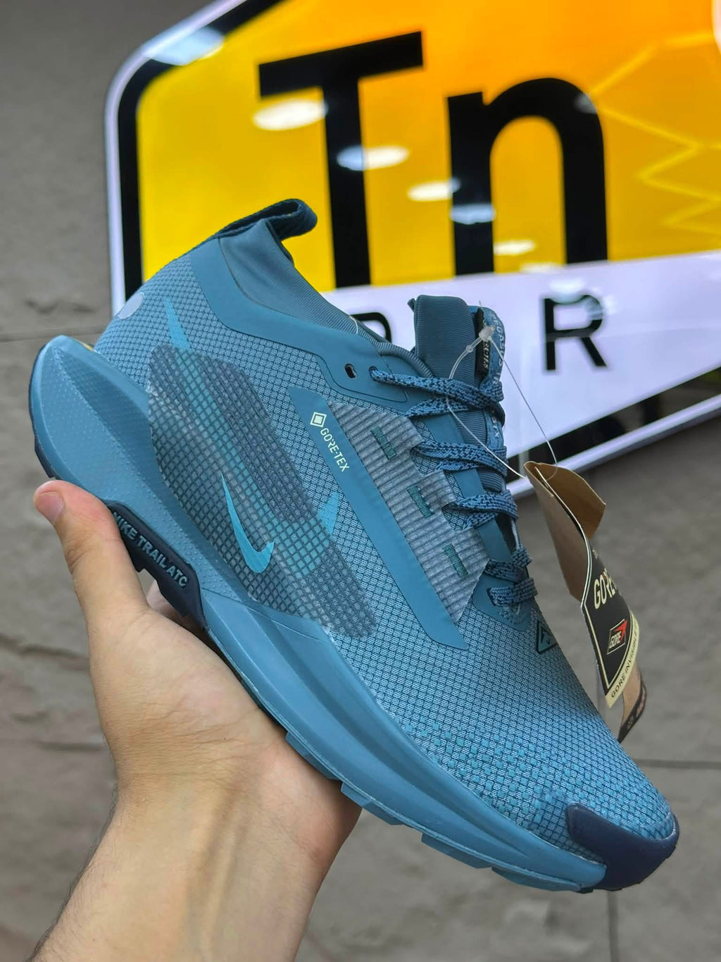 Nike Pegasus Trail 5 GORE-TEX