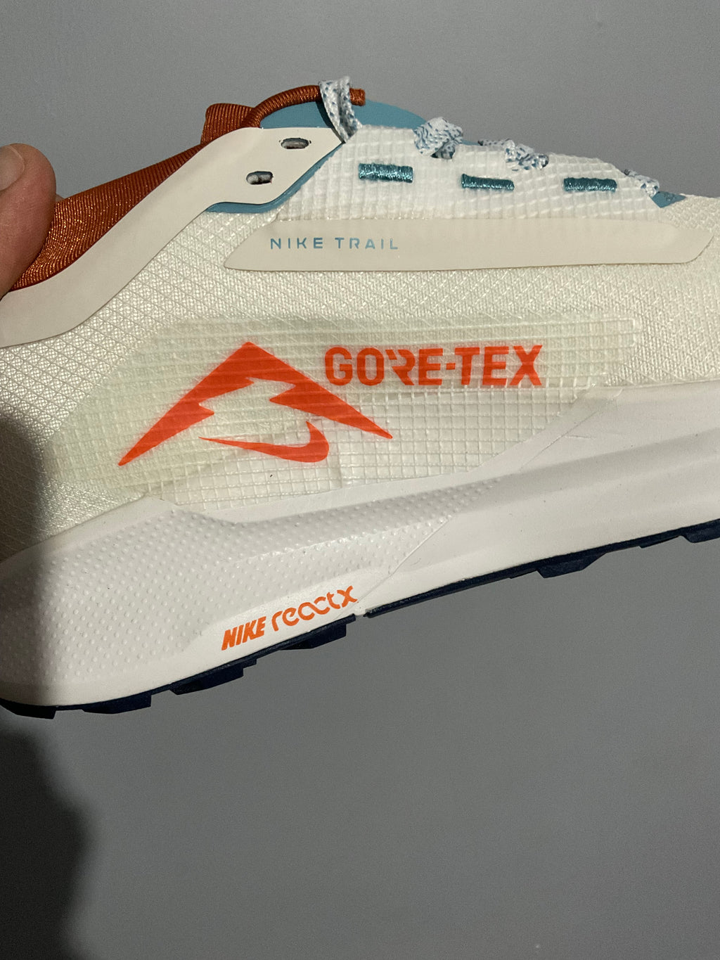 White Nike Pegasus Trail 5 GORE-TEX