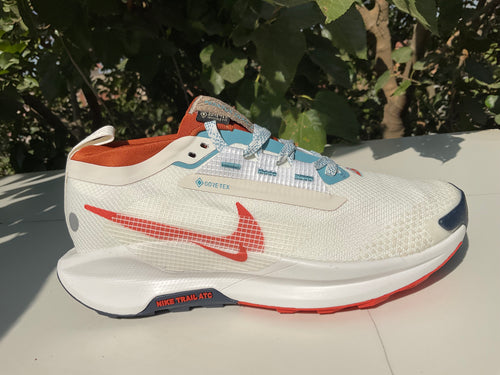 White Nike Pegasus Trail 5 GORE-TEX