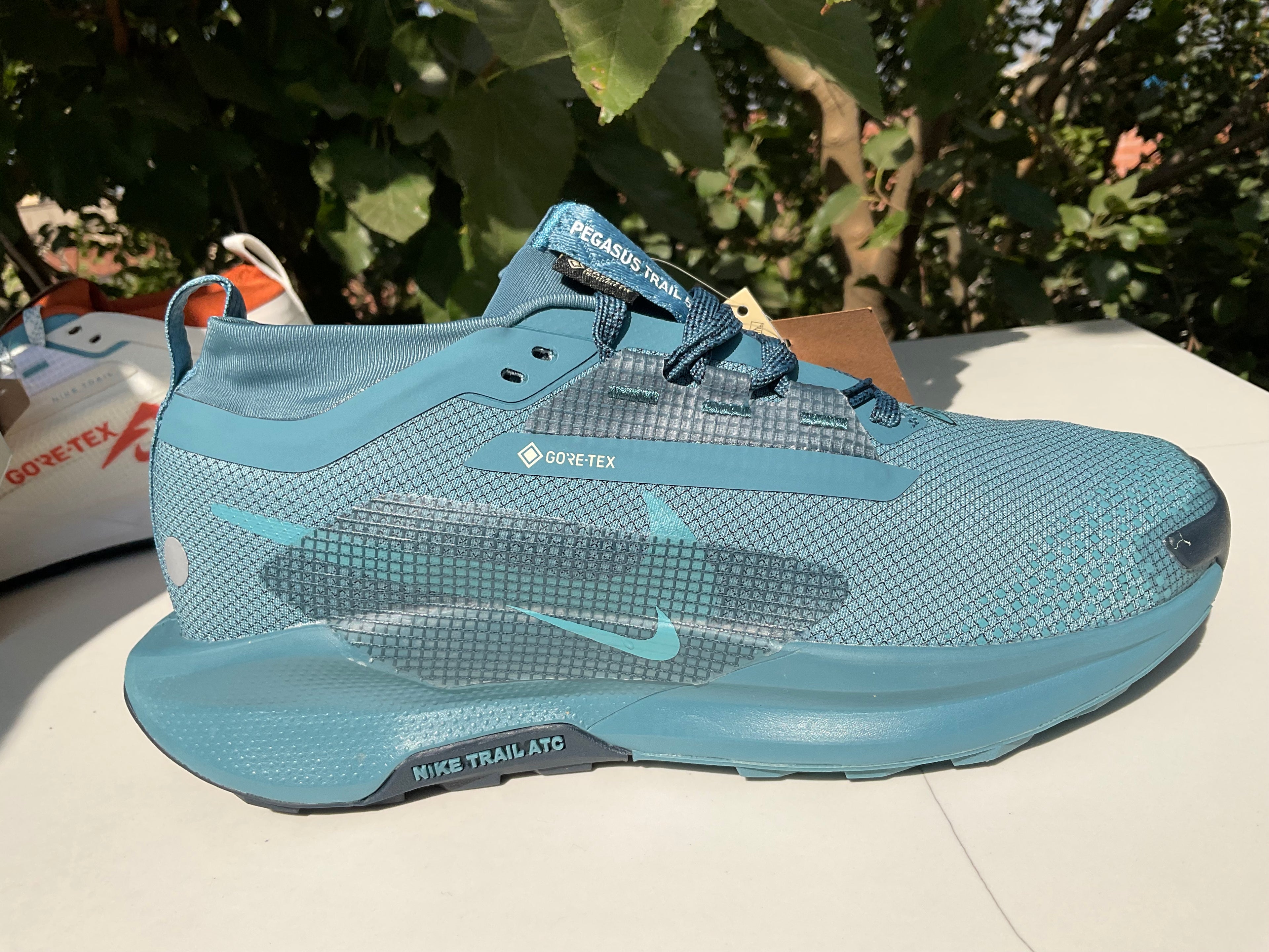 Nike Pegasus Trail 5 GORE-TEX