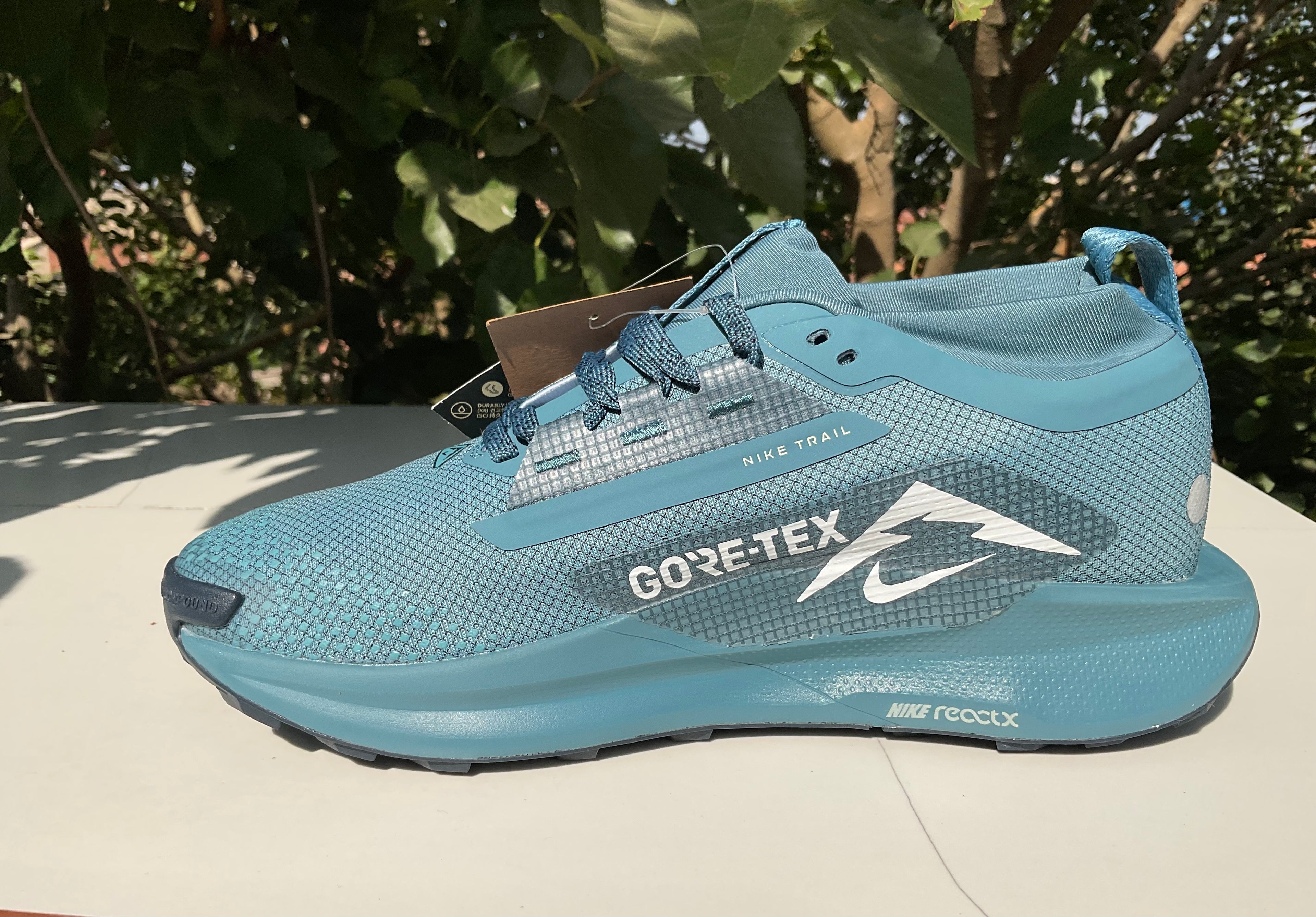 Nike Pegasus Trail 5 GORE-TEX
