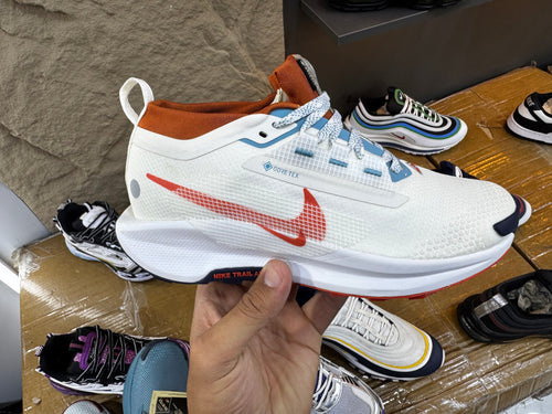 White Nike Pegasus Trail 5 GORE-TEX