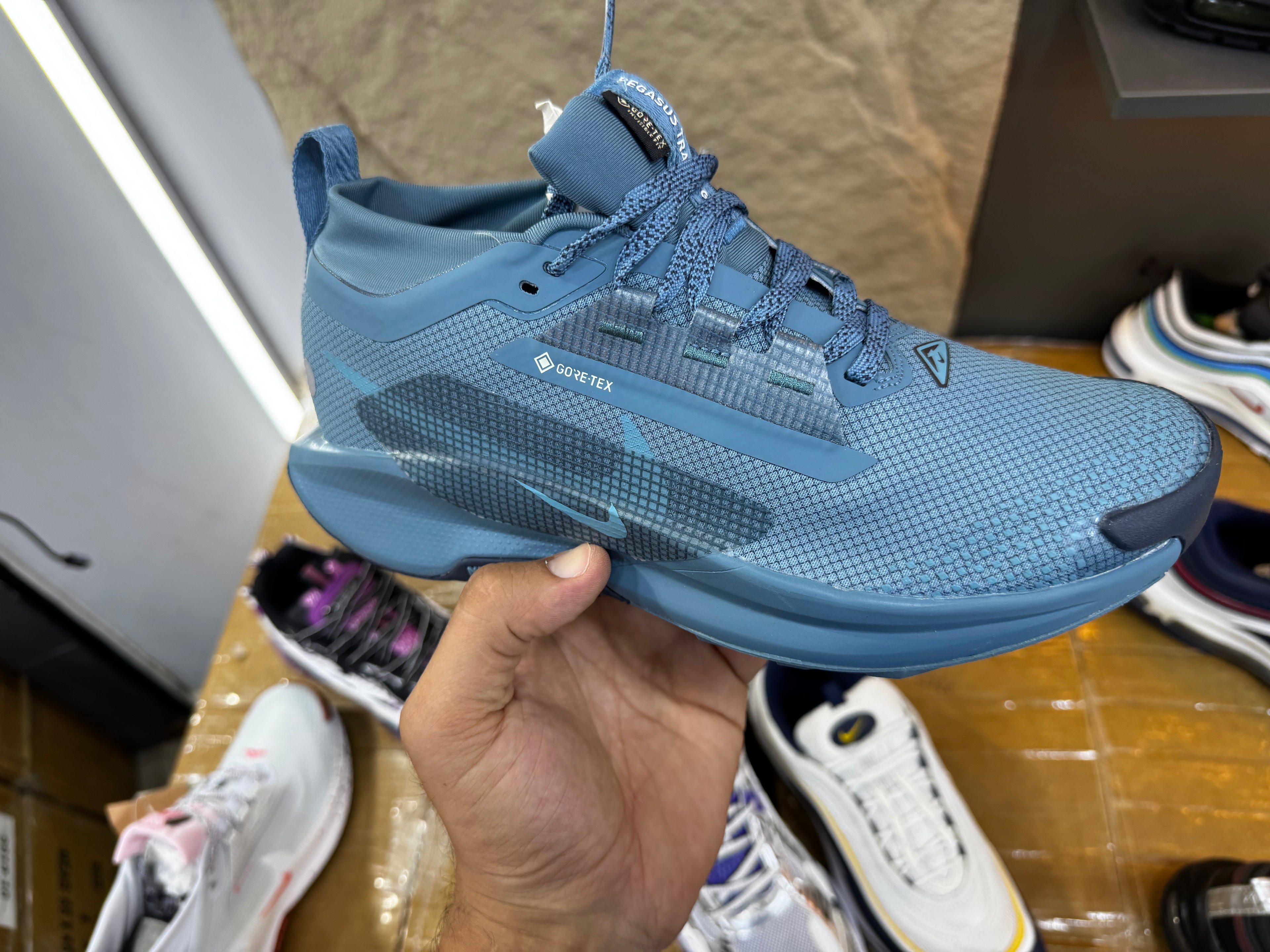 Nike Pegasus Trail 5 GORE-TEX