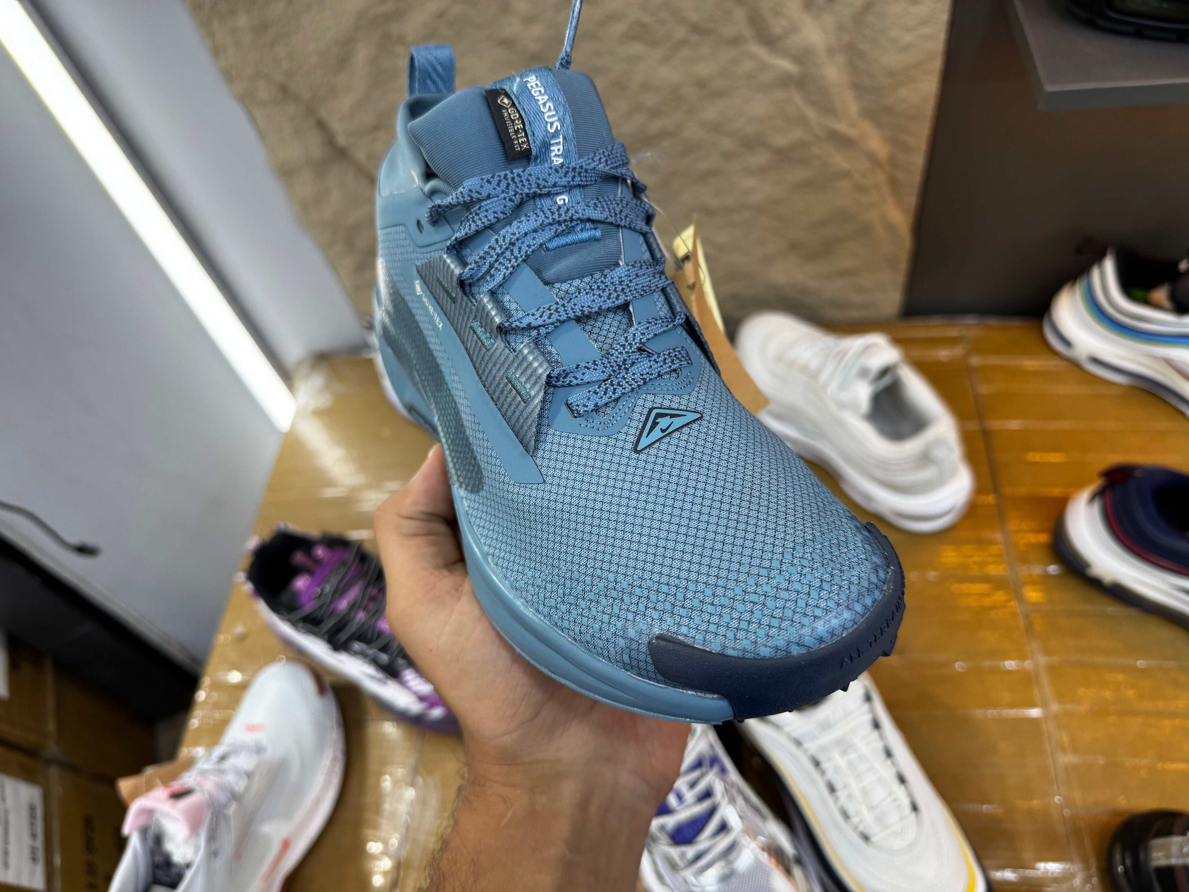 Nike Pegasus Trail 5 GORE-TEX