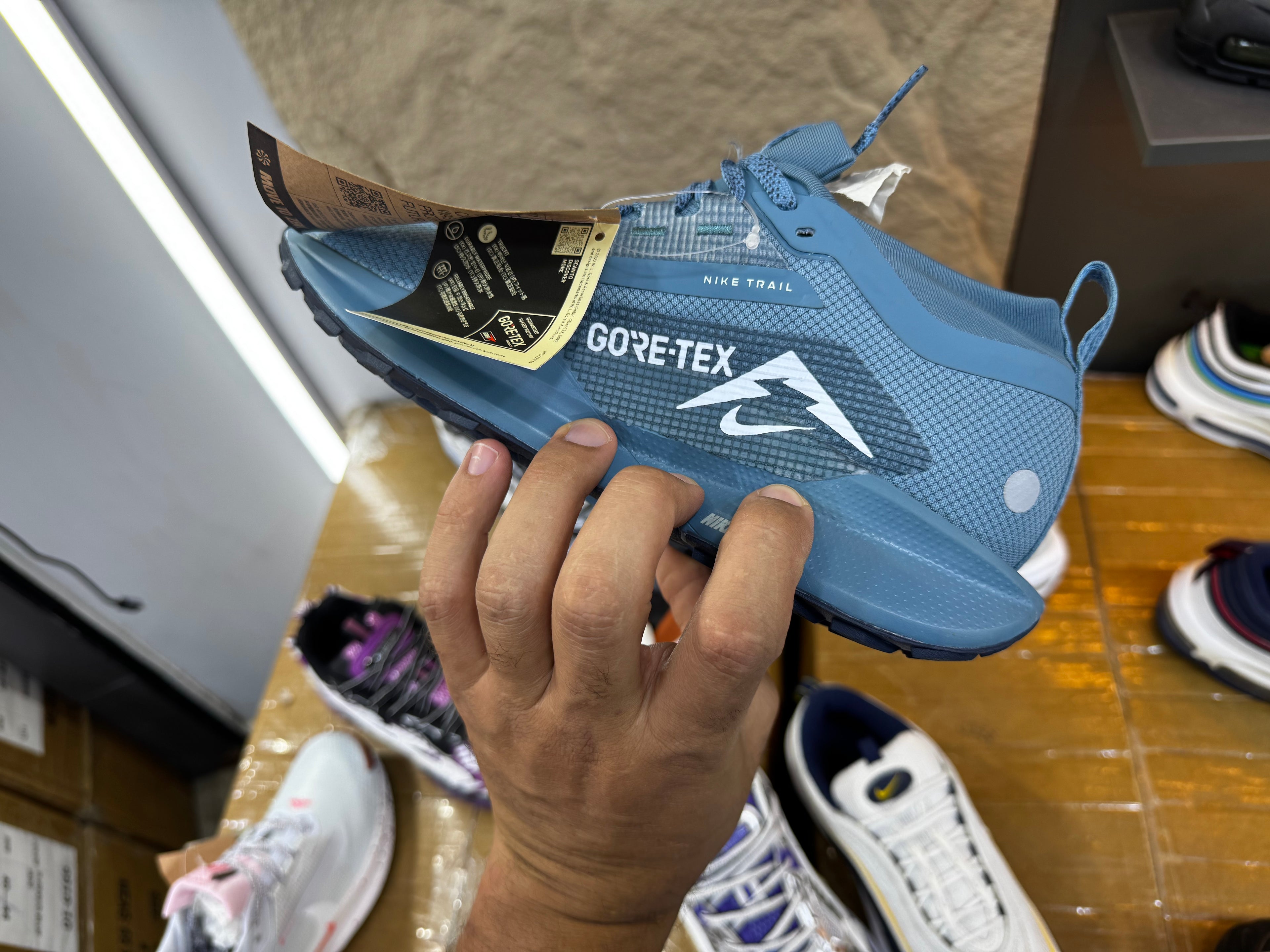Nike Pegasus Trail 5 GORE-TEX