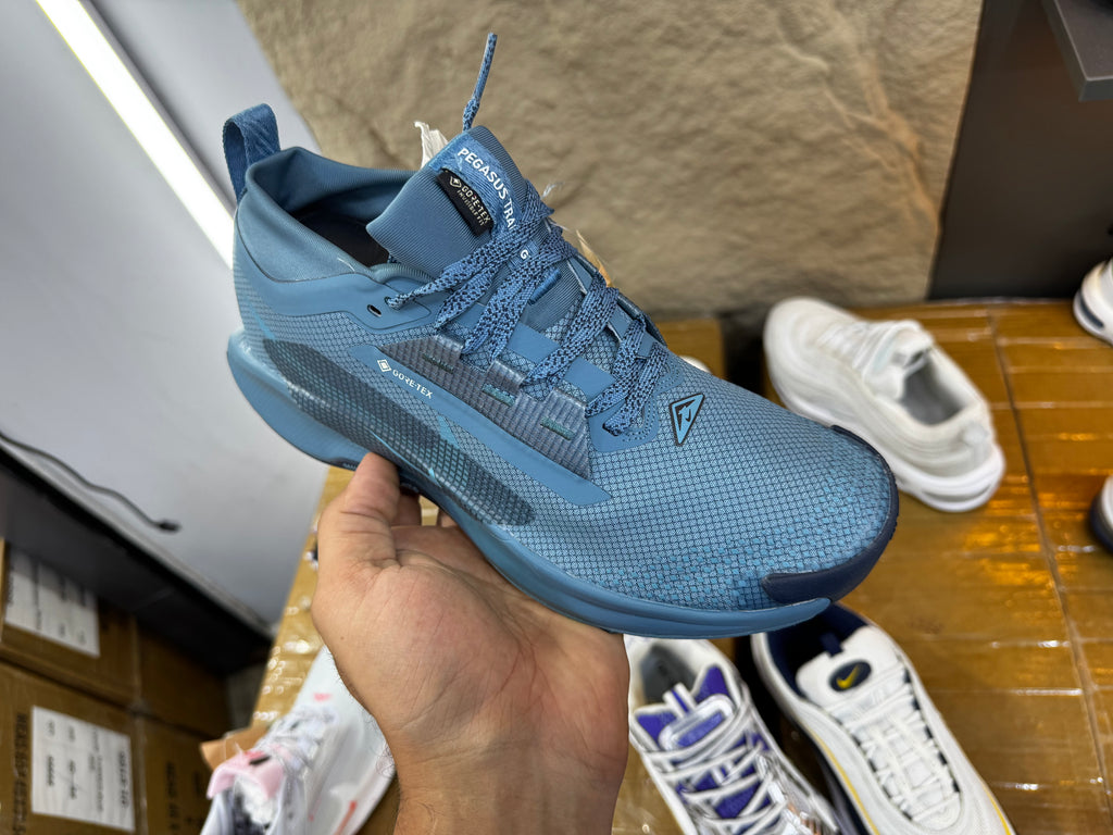 Nike Pegasus Trail 5 GORE-TEX