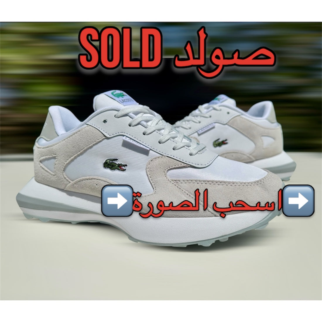 LACOSTE ORIGINAL GRIS Biege X Tennis