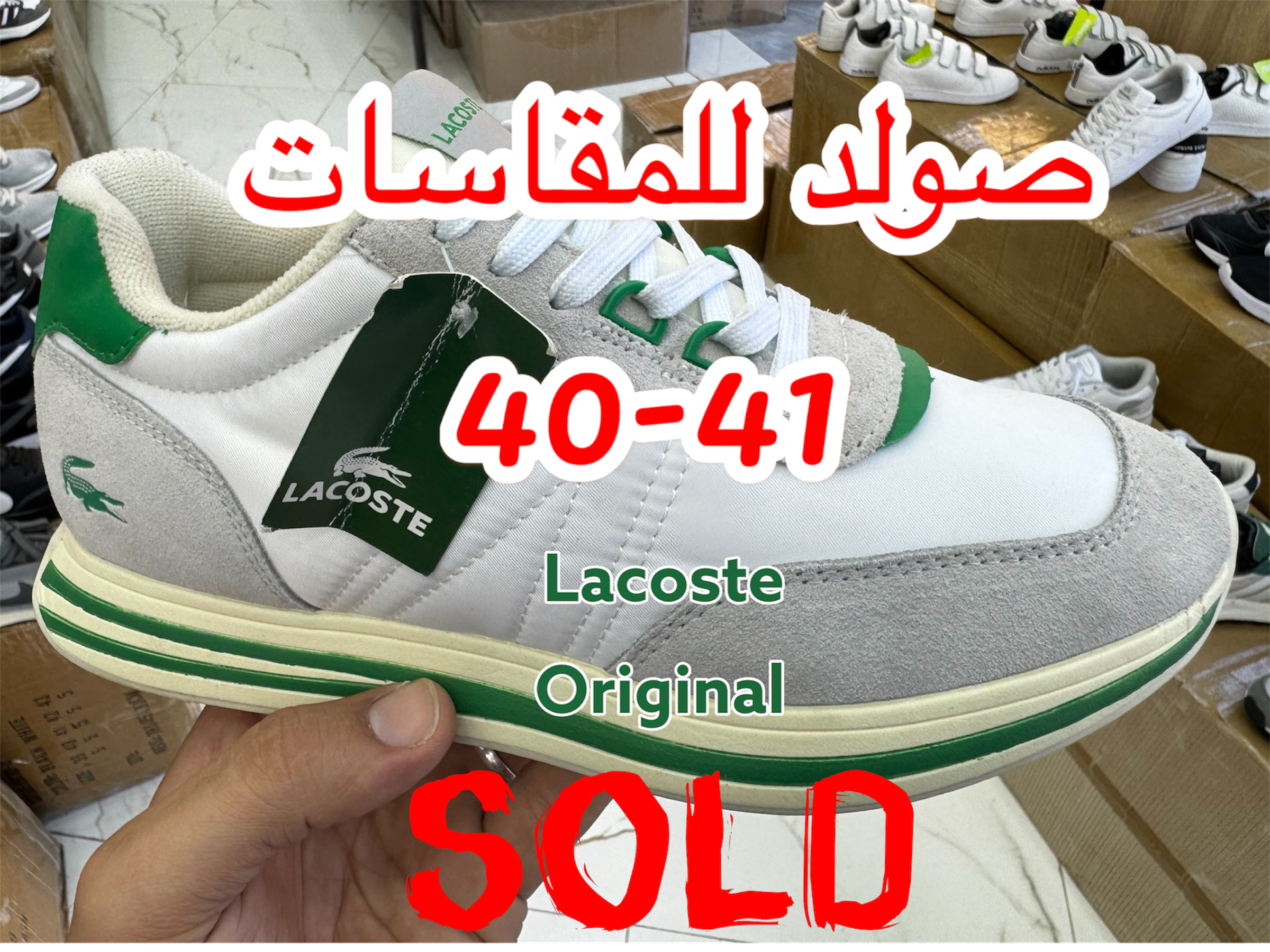LACOSTE L SPIN LIMITED