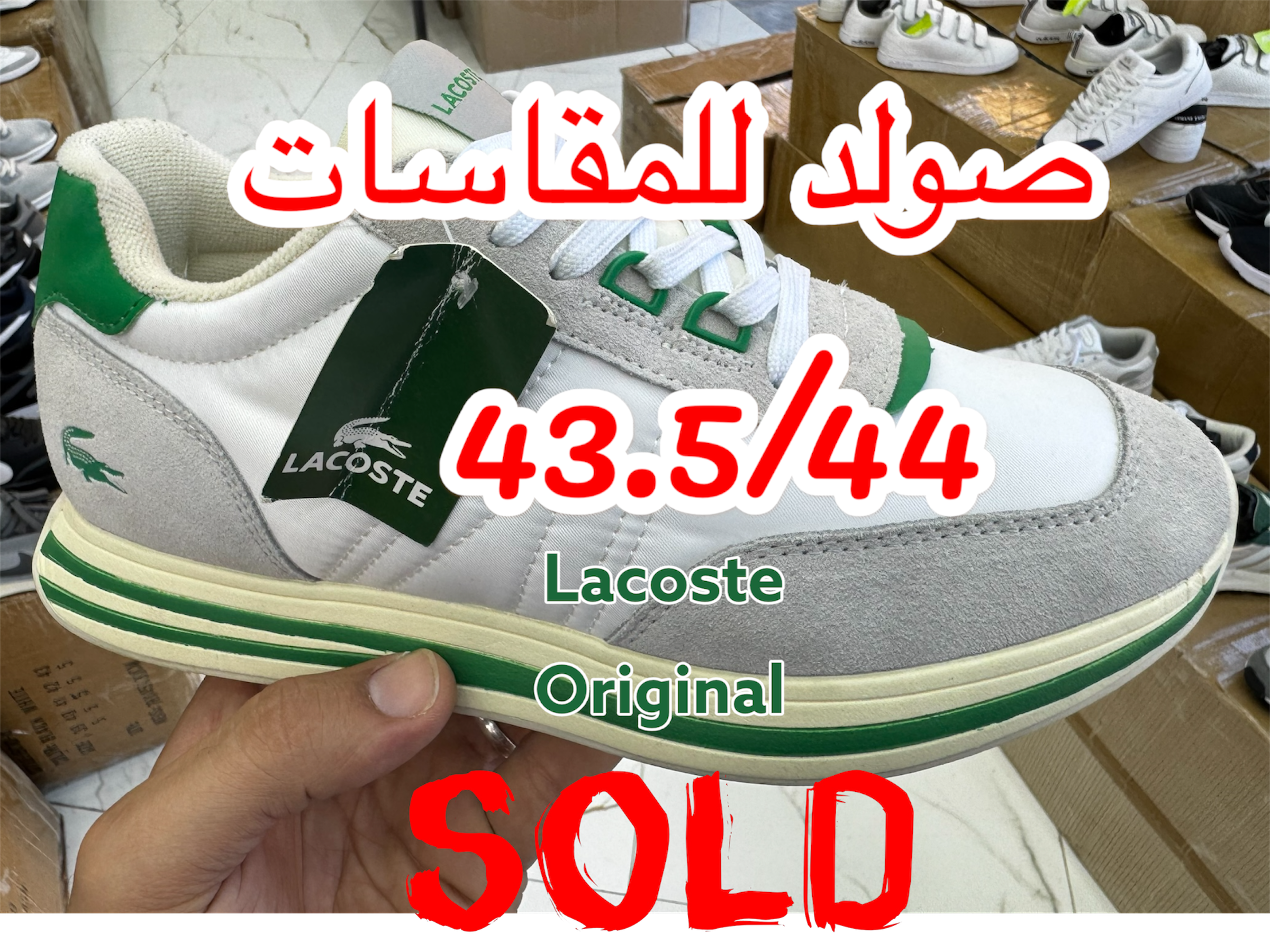 LACOSTE L SPIN LIMITED