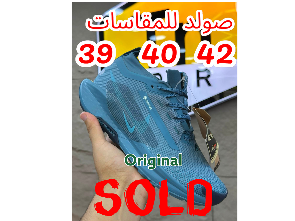 Nike Pegasus Trail 5 GORE-TEX