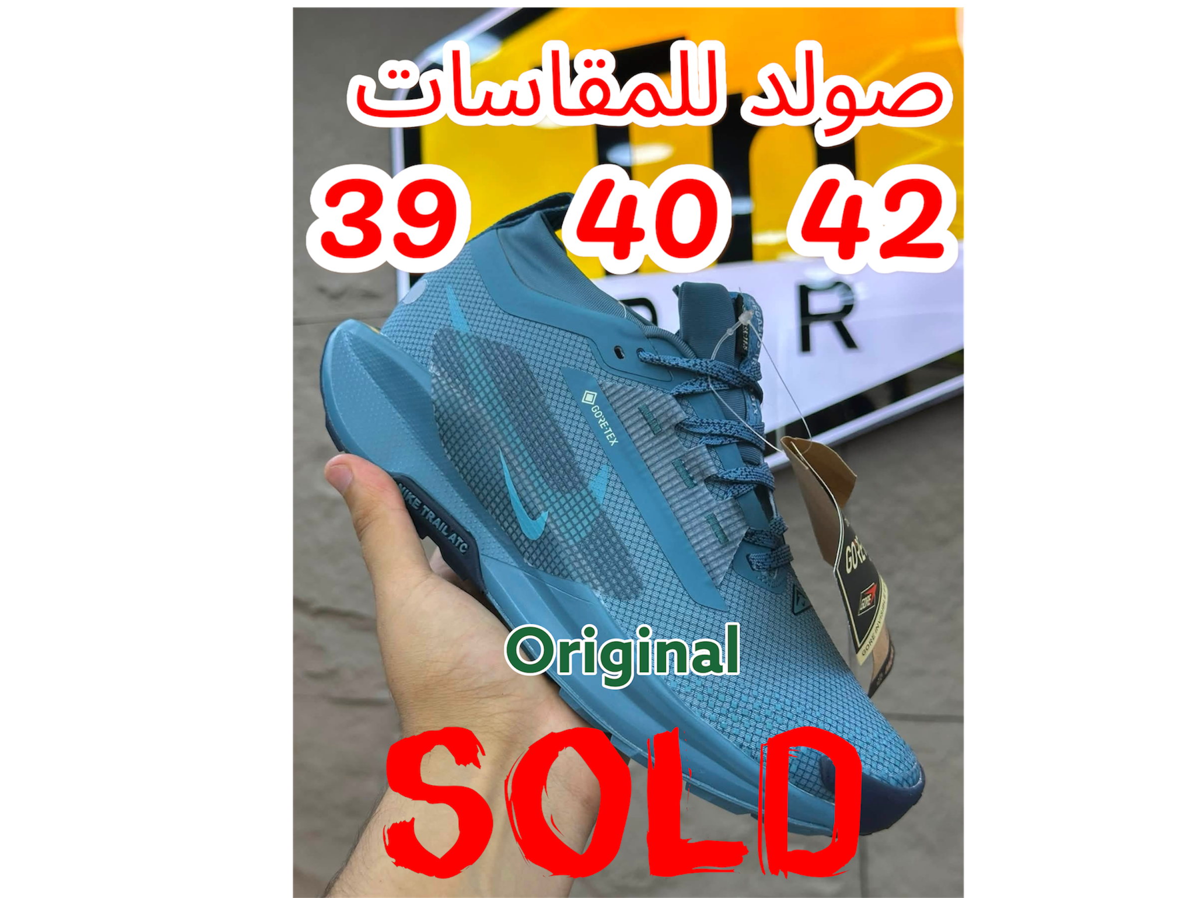 Nike Pegasus Trail 5 GORE-TEX