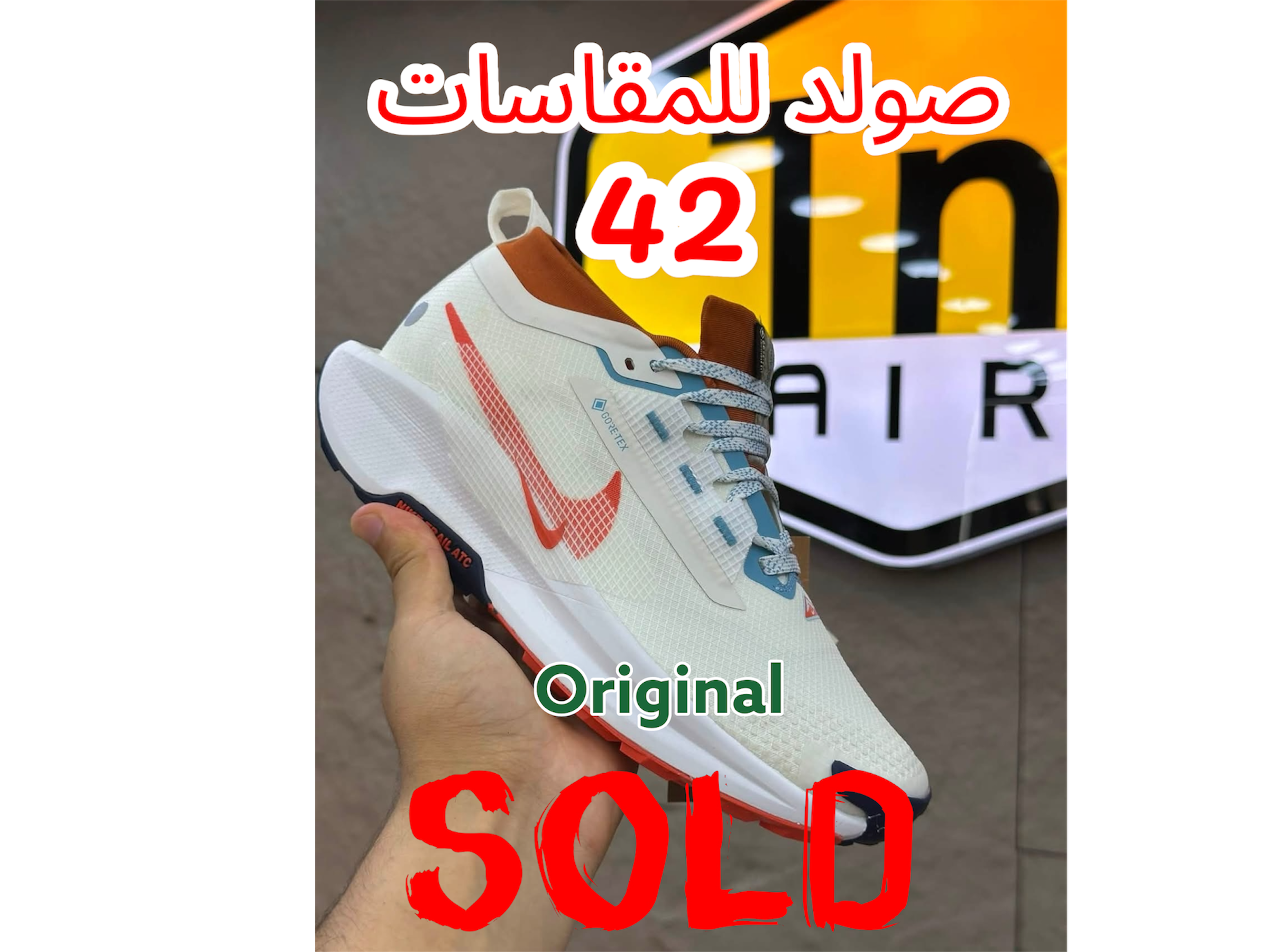 White Nike Pegasus Trail 5 GORE-TEX
