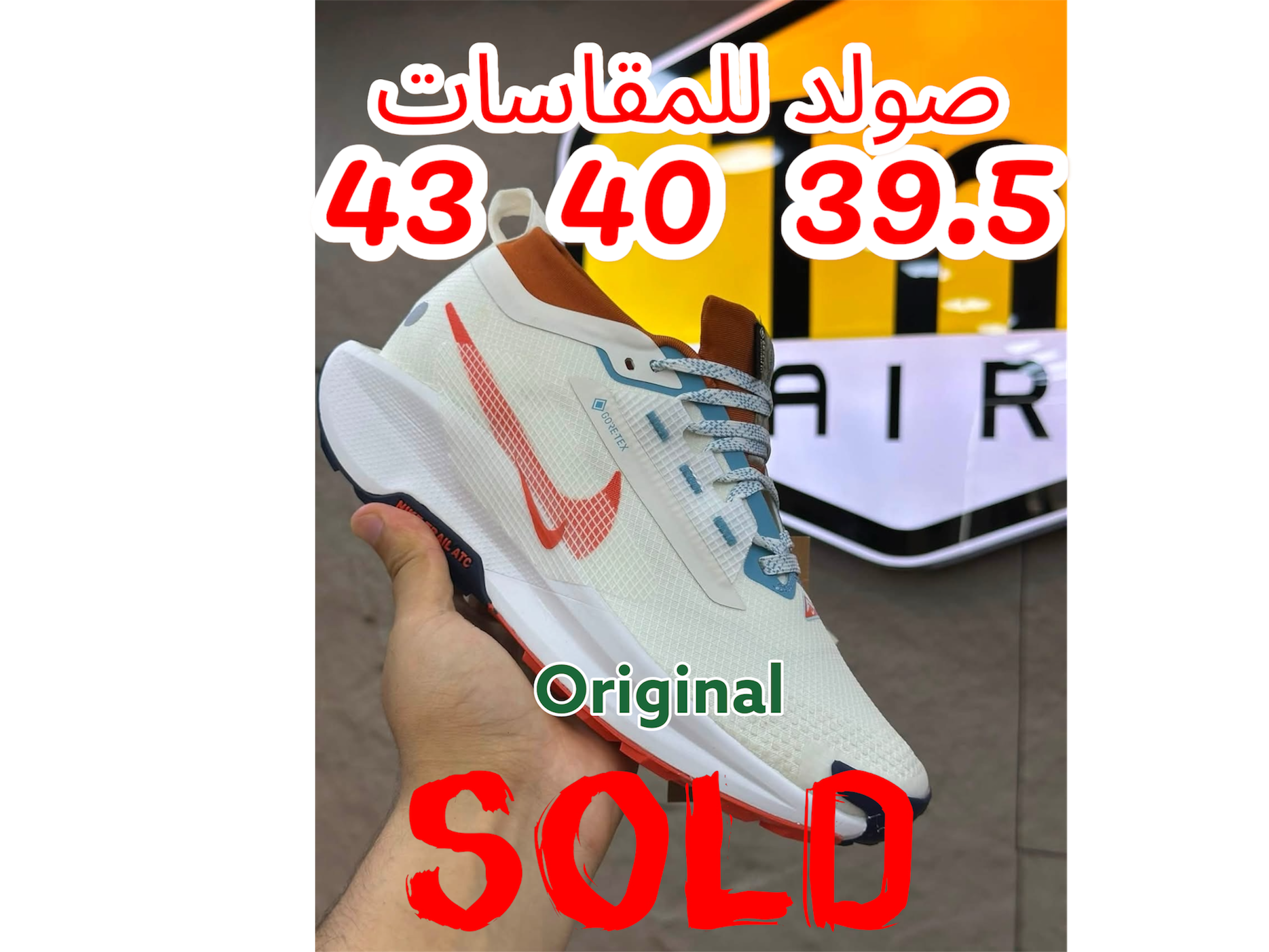 White Nike Pegasus Trail 5 GORE-TEX