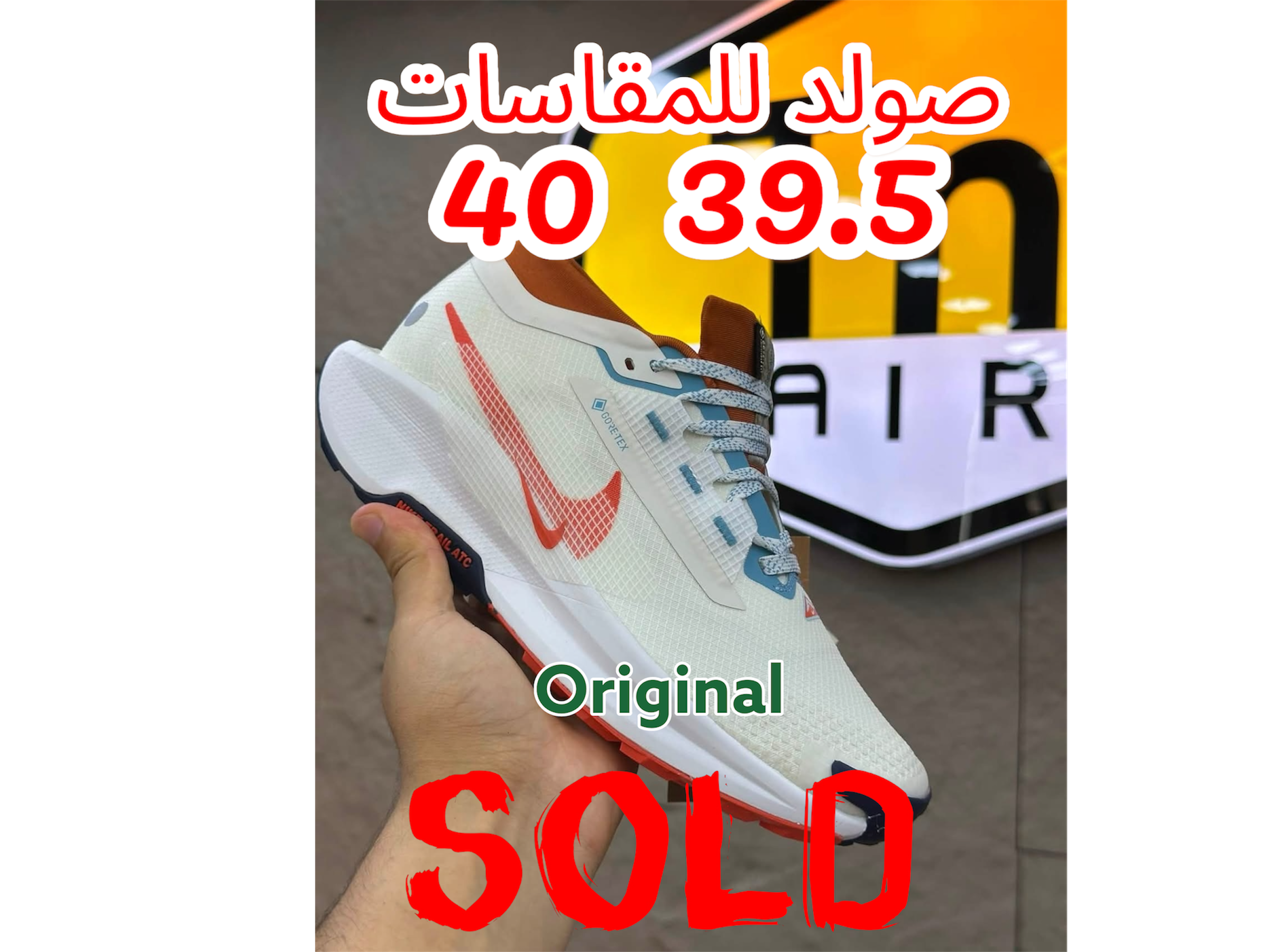 White Nike Pegasus Trail 5 GORE-TEX