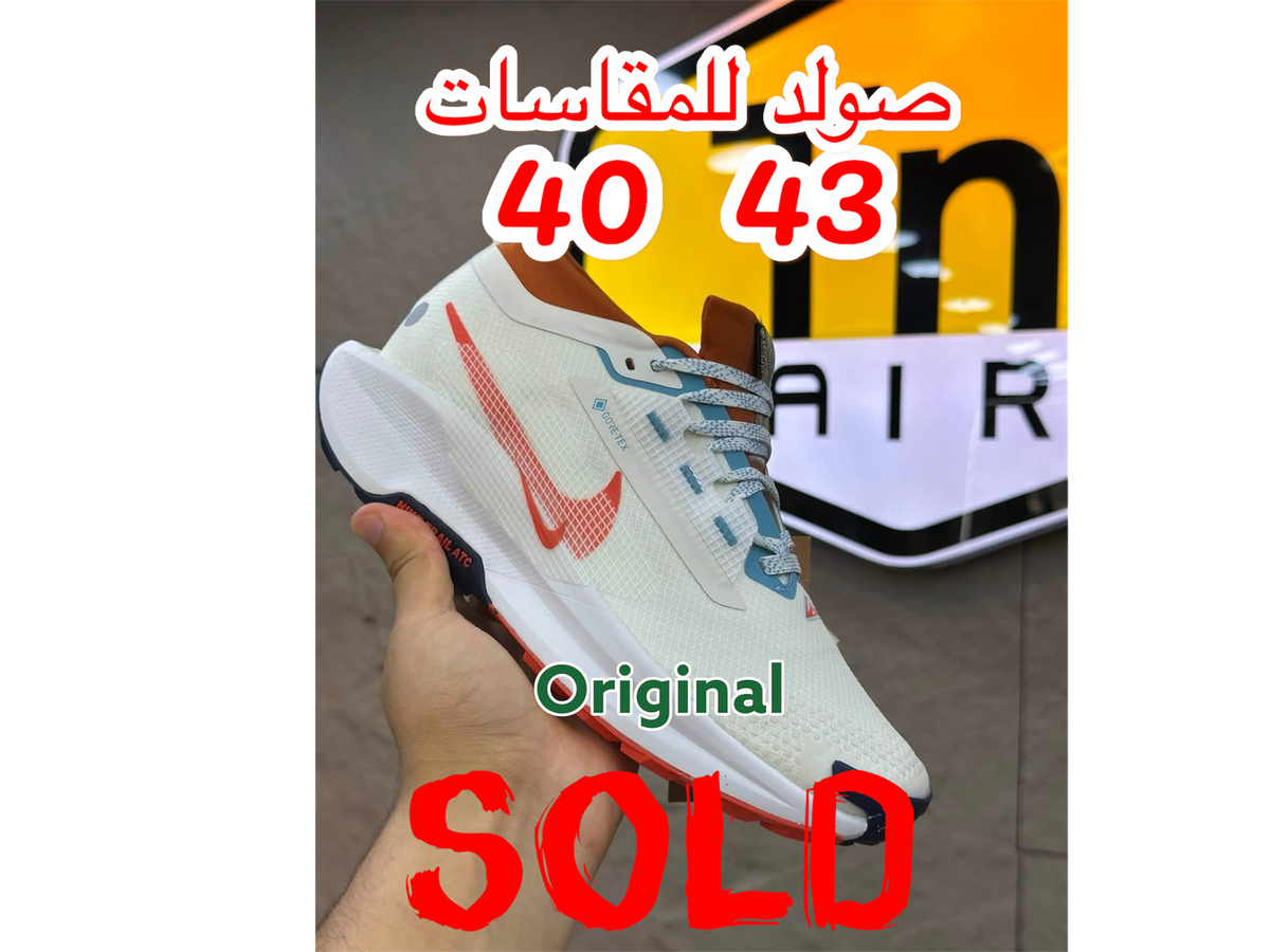 Nike GORE-TEX Trail 5 Blanc