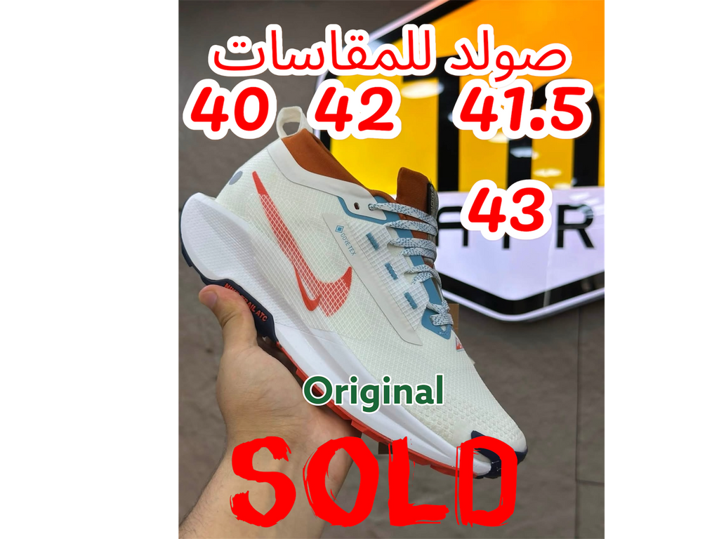 Nike GORE-TEX Trail 5 Blanc