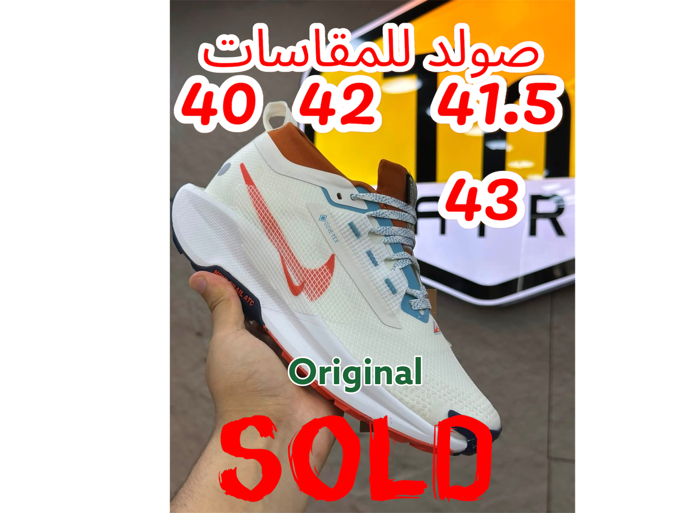 Nike GORE-TEX Trail 5 Blanc