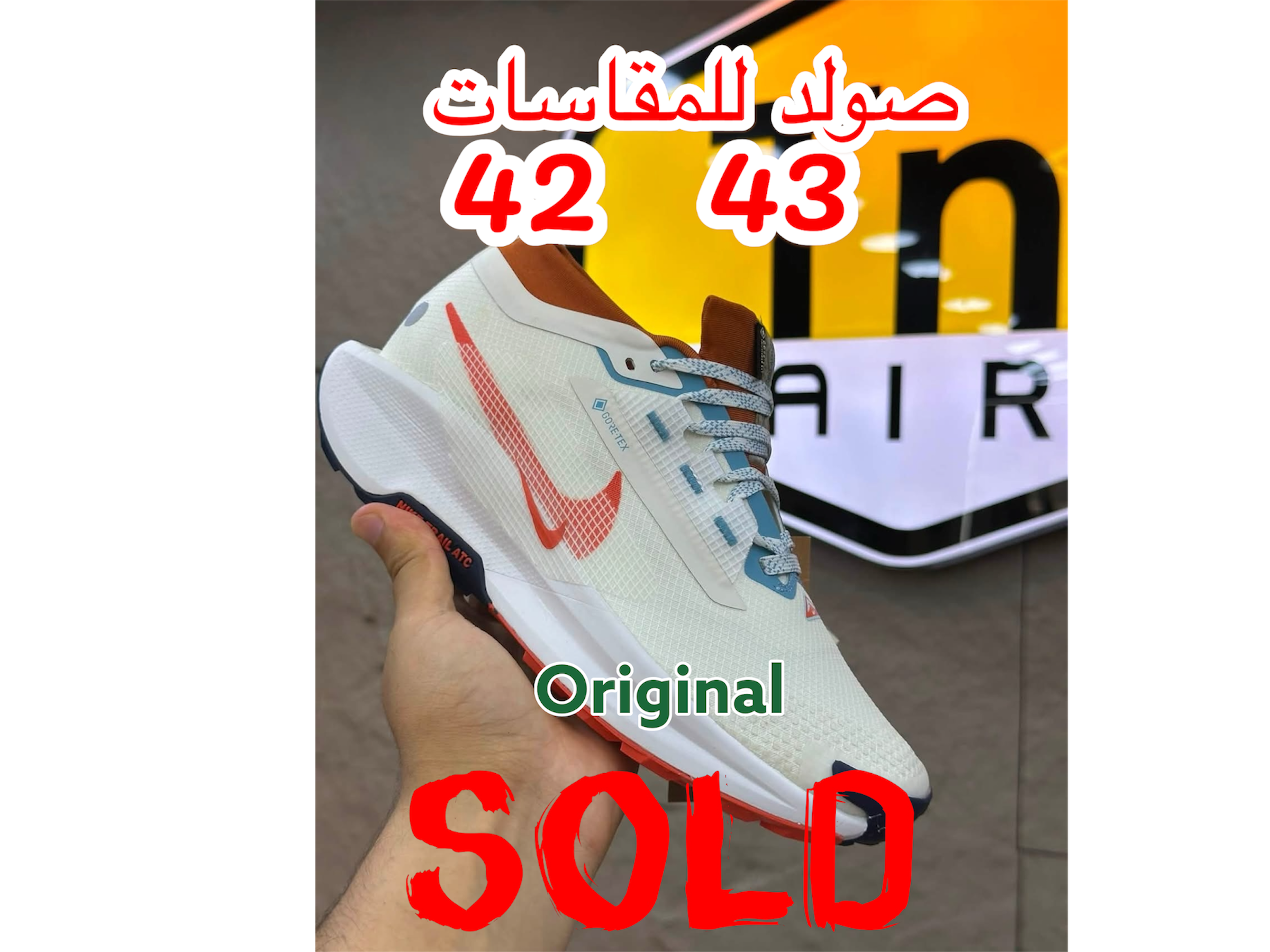 Nike GORE-TEX Trail 5 Blanc