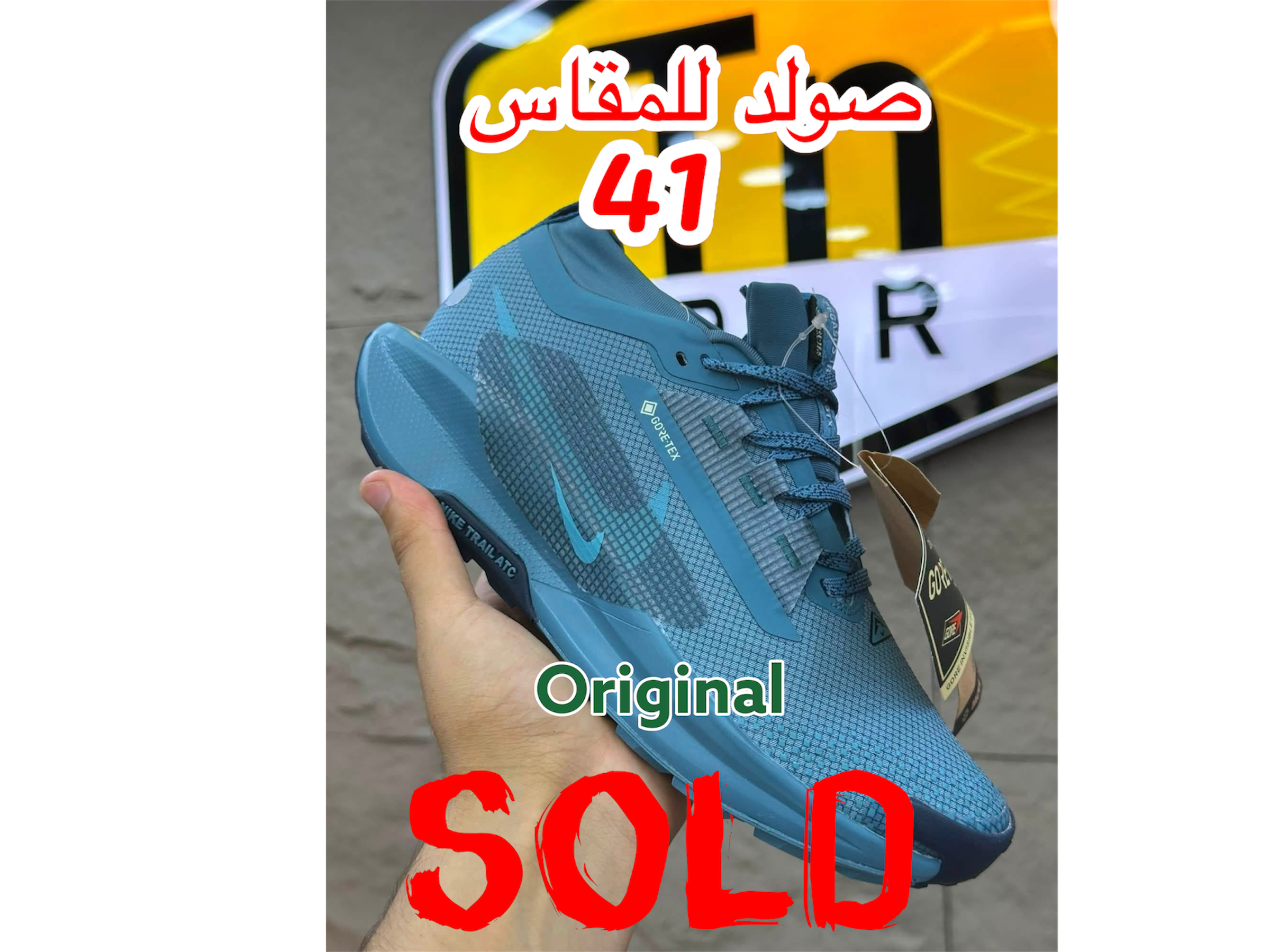 Nike GORE-TEX Trail 5 Bleu