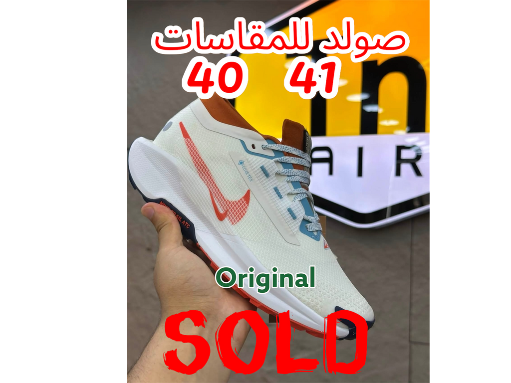 Nike GORE-TEX Trail 5 Blanc